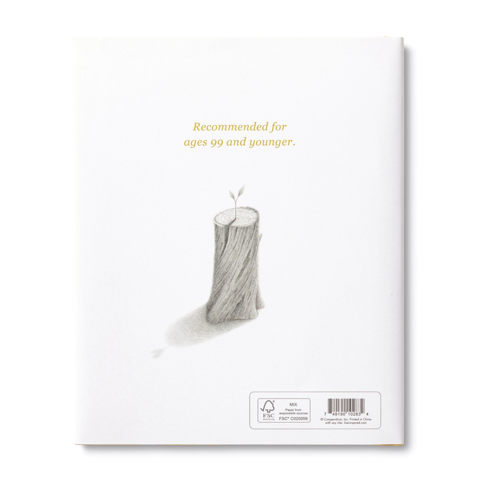 Finding Muchness Book