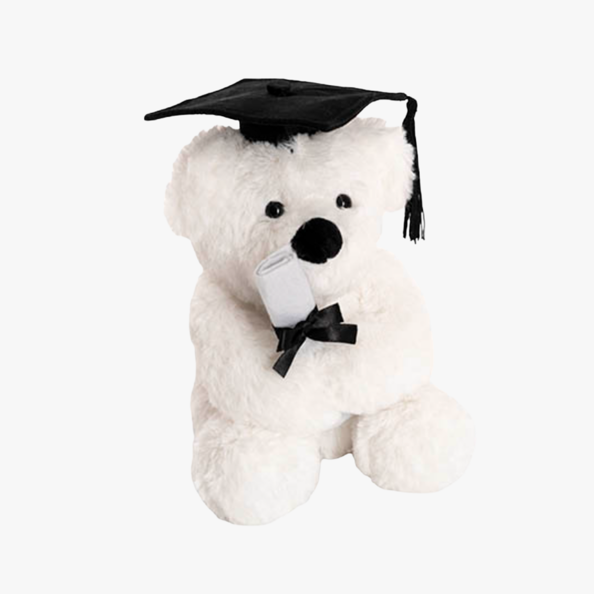Harvey Graduation Bear - White