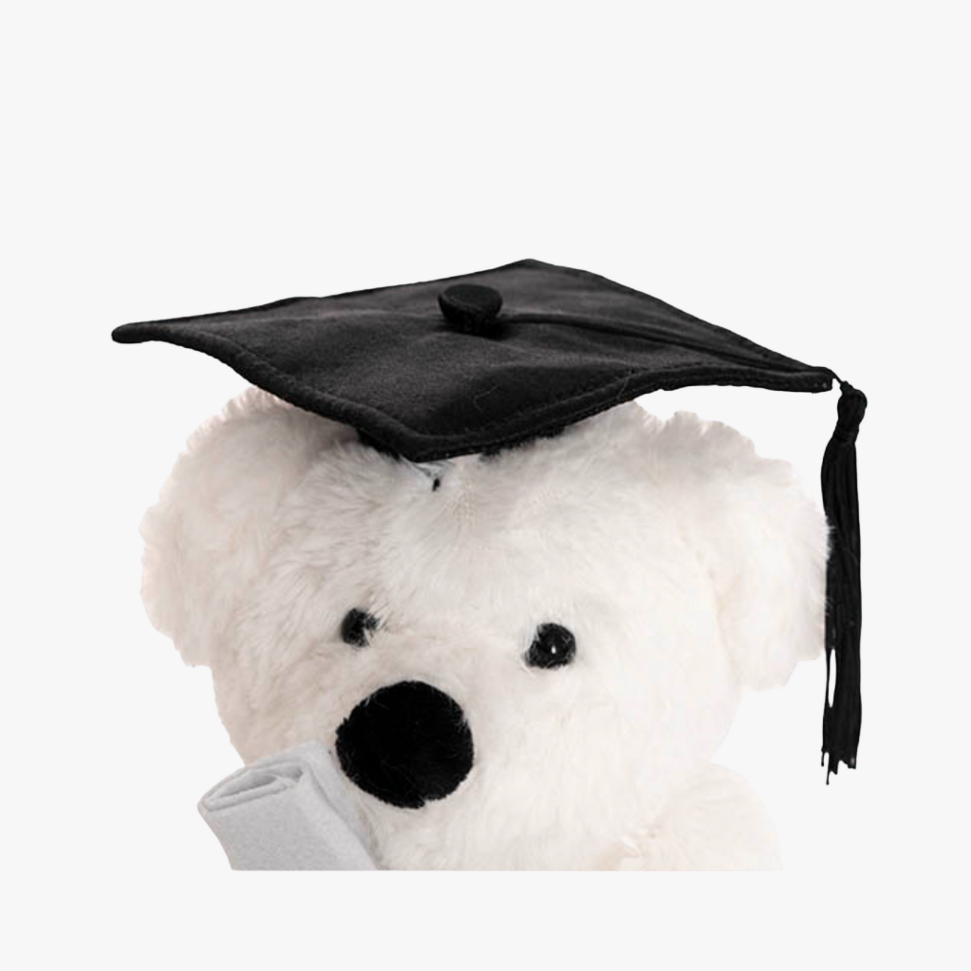 Harvey Graduation Bear - White