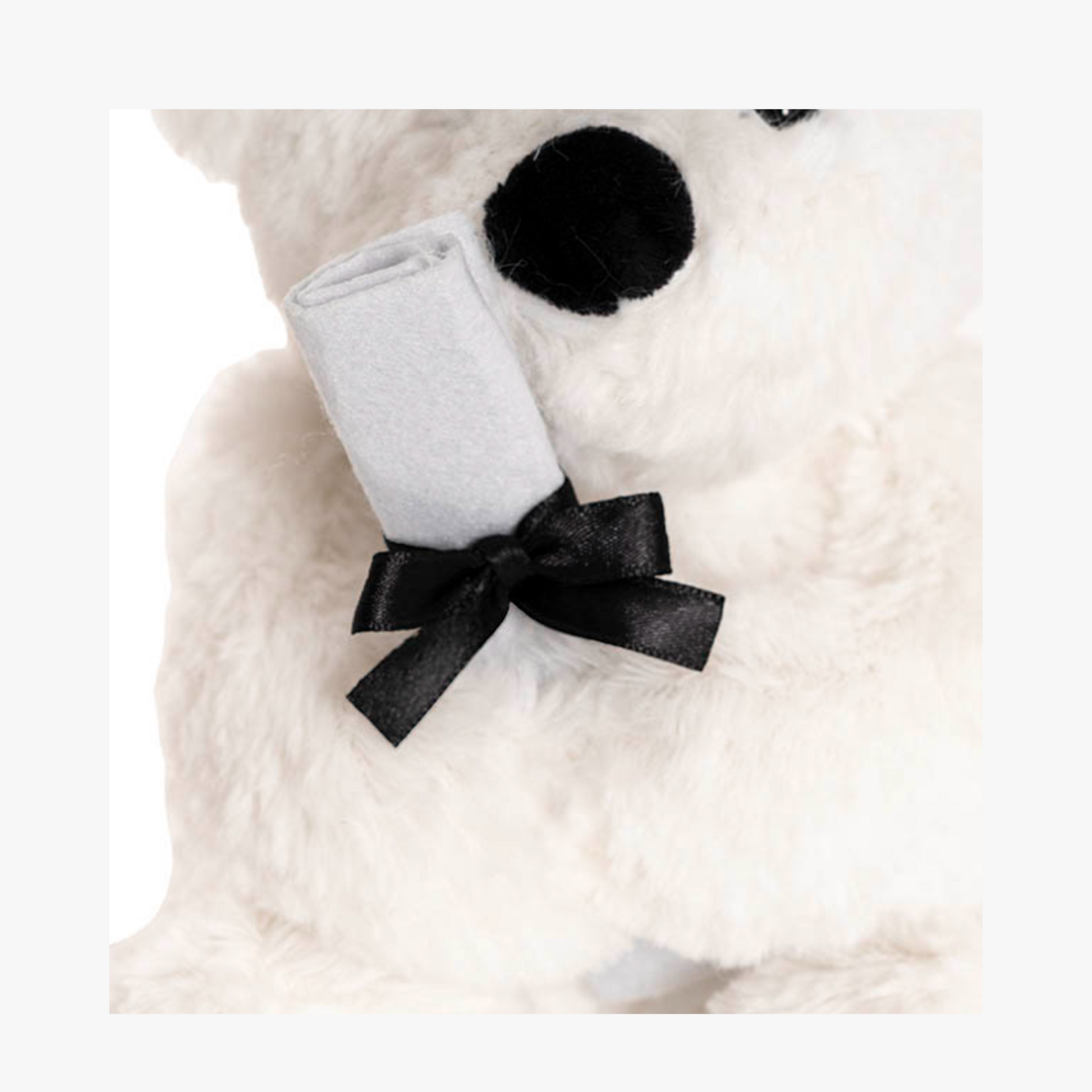 Harvey Graduation Bear - White