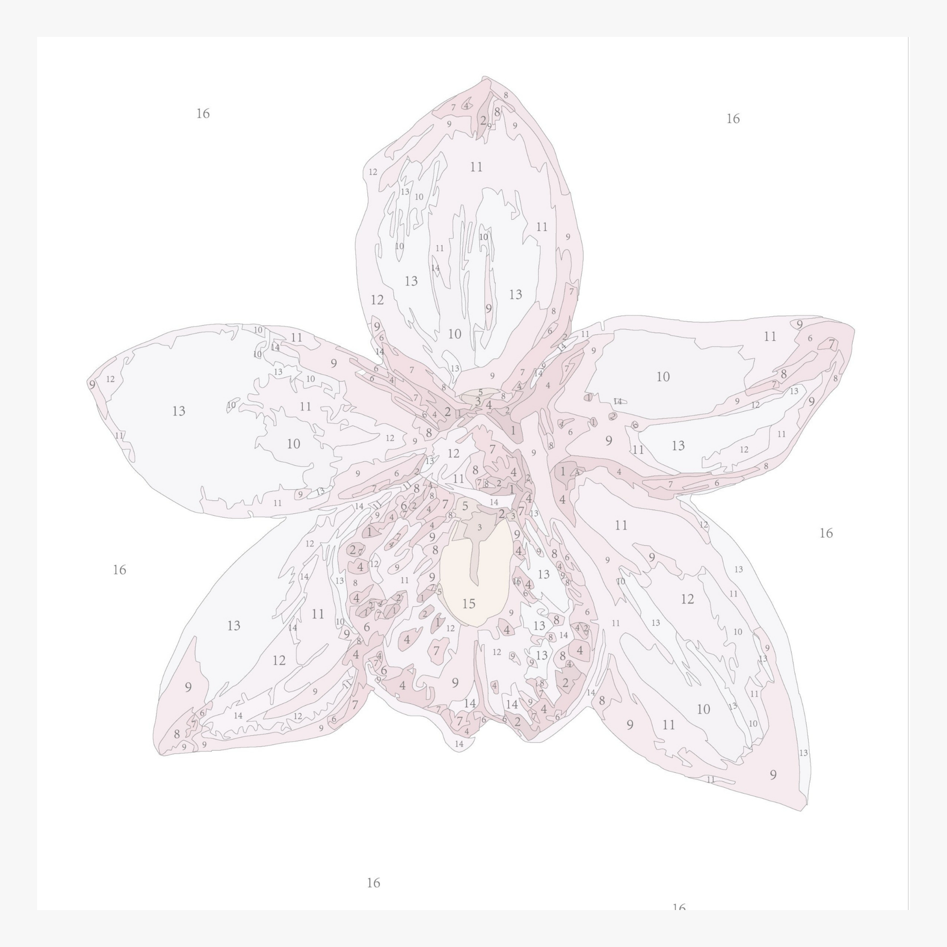 Mini Painting Kit - Orchid II